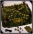 Nightmare 3D: Boardgame and Pieces