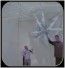 View of the 3D Spider