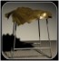 Schmelt Stool Rendering (Front View)