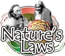 Nature's Laws